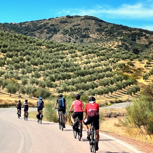 Rondrit Andalusie met de fiets